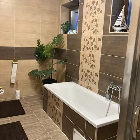 5 Izbovy Samostatny Stojaci Rodinny Dom S Podkrovim A Velkou Zahradou So Sezonnym Bazenom, Celorocnou Saunou A Virivkou Na Dovolenku A Oddych Topolniky Exterior photo